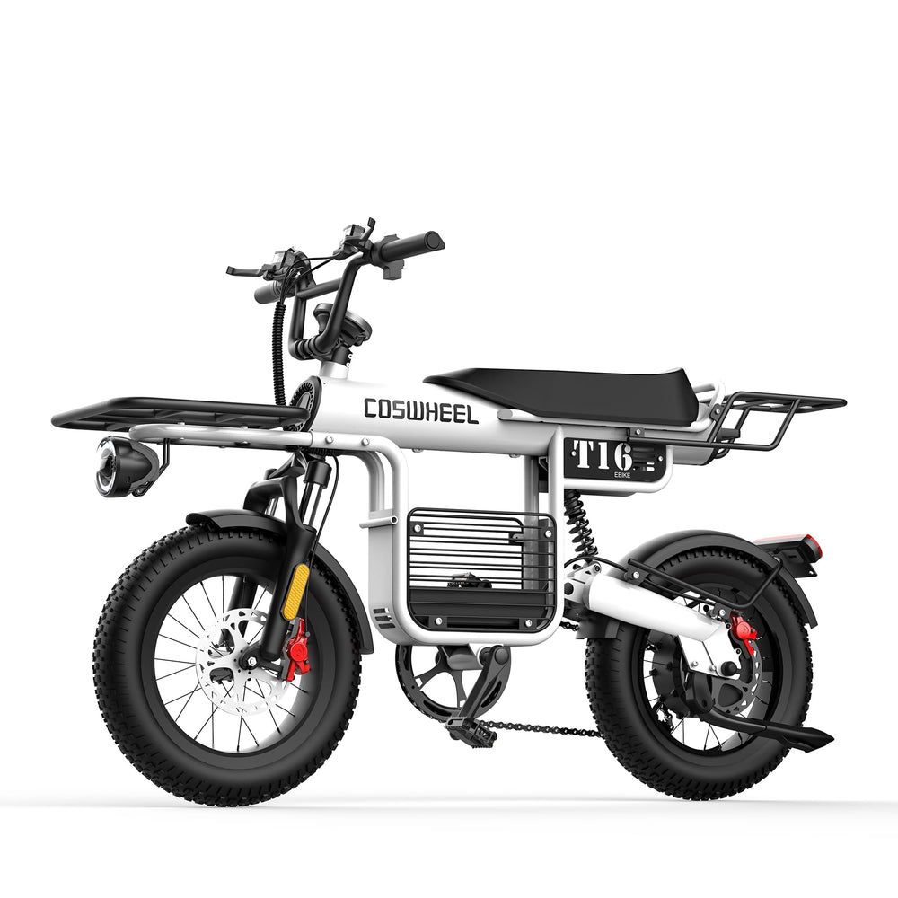 COSWHEEL T16