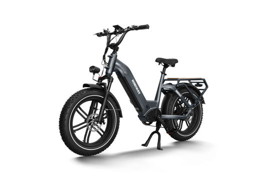Himiway Big Dog Electric Cargo Bike